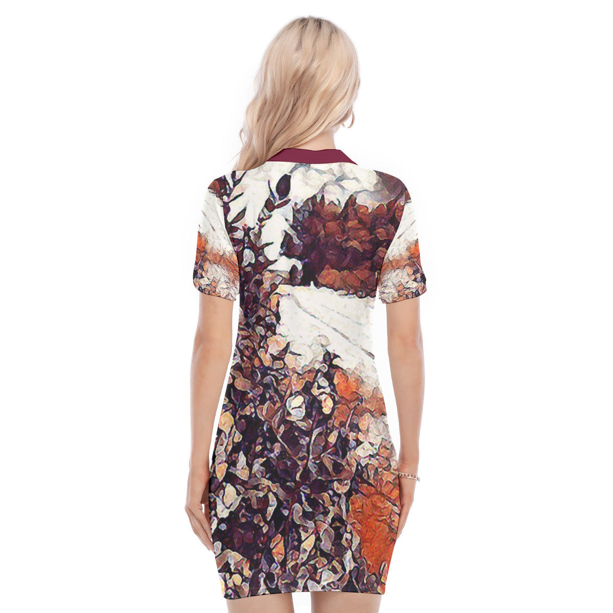 Francis -- Women's Polo Collar Dress